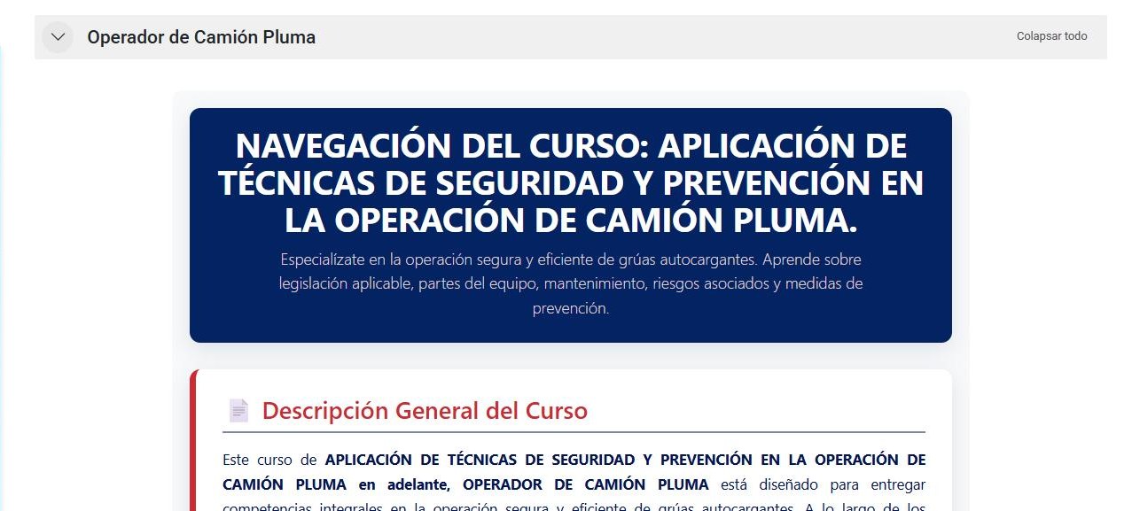Curso real montado con el tema New Learning